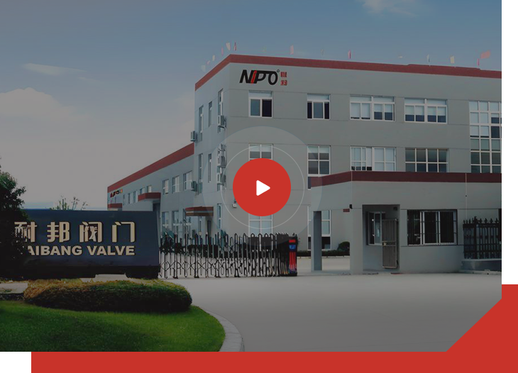  Fabricant de clapet anti-retour